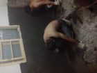 服務物件照片1130_s_20130604_232147_240193.jpg
