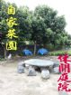 商品物件照片1201_s_20131014_105252_150910.jpg