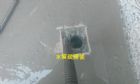 服務物件照片1897_s_20161201_205303_270970.png