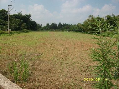 普忠路農地10,000坪,房屋, 房屋買賣,房屋網