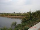 路竹優質農地,房屋, 房屋買賣,房屋網
