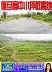 復旦高中小坪數農地260坪至429坪 共1209坪 每坪2萬9800 臨6米路,房屋, 房屋買賣,房屋網