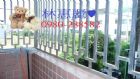 樂房網~林惠麗**聖龍透天厝~售538萬,房屋, 房屋買賣,房屋網