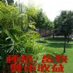 ****9.6分屏市(企業家的最愛)大地坪農墅****,房屋, 房屋買賣,房屋網