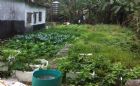 石碇區近500坪土地出售(近石碇交流道),房屋, 房屋買賣,房屋網