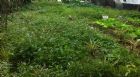 石碇區近500坪土地出售(近石碇交流道),房屋, 房屋買賣,房屋網
