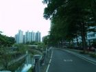 ●城市光采超值四房平車●,房屋, 房屋買賣,房屋網