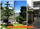 2樓半庭園別墅【高雄小城】路竹區復興路邊間地93坪裝潢雙車鄉村住家2380萬,房屋, 房屋買賣,房屋網