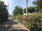 番路休閒農地,房屋, 房屋買賣,房屋網