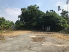 番路休閒農地,房屋, 房屋買賣,房屋網