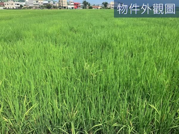 台中大肚溪洲段農地(有水有電),房屋, 房屋買賣,房屋網