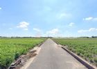 2003984嘉義新港『沃野千里農牧用地』,房屋, 房屋買賣,房屋網