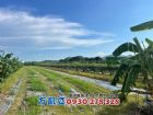 玉井前後路2分半一般農地,房屋, 房屋買賣,房屋網