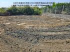 【台南仁德 二王方正農地｜已整地×發展潛力大】0908-040999,房屋, 房屋買賣,房屋網