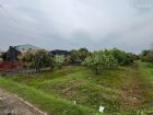 ?? 善化東勢寮．夢想土地0908-040999,房屋, 房屋買賣,房屋網