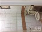 租屋物件照片1026282_s_20160621_153842_060314.jpg