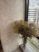 租屋物件照片1055518_s_20241115_105152_950829.jpg