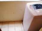 租屋物件照片339891_s_20100705_180836_140176.jpg